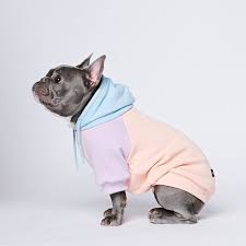 Paw-some Style: Unleashing the Latest Trends in Dog Apparel