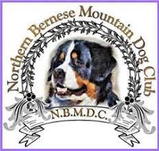 The Northern BMD Club: A Haven for Bernese Mountain Dog Enthusiasts in the North