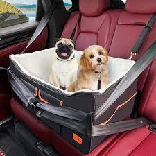 safety and travel accessories for dogs