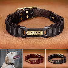 Enhancing Pet Safety: The Importance of a Dog Collar with Name Tag
