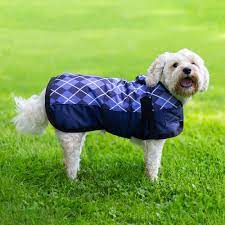 Dapper Dogs: Embrace Winter with Stylish and Warm Dog Coats