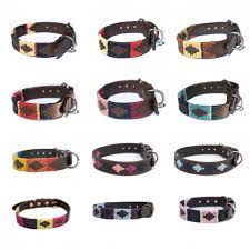 Stylish and Safe: Exploring the World of Dog Collars for Your Canine Companion