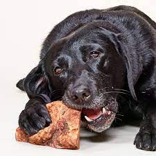 Enhancing Canine Health: The Importance of Quality Dog Chews