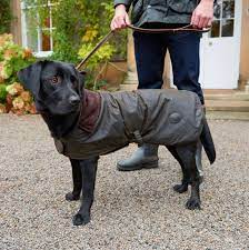dog jackets
