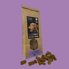 Exploring Delicious Dog Snacks: A Guide to Treat Your Canine Companion
