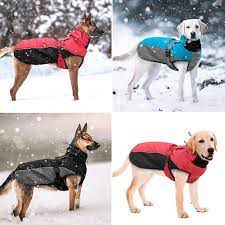 Stylish Solutions: Embracing Large Dog Clothes for Your Big Canine Companion