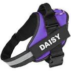 personalised dog harness