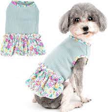 Dress to Impress: The Latest Trends in Pet Clothing