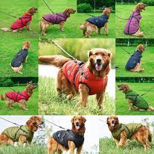 Stylish Small Dog Clothes: Dressing Your Petite Pooch in Fashionable Attire