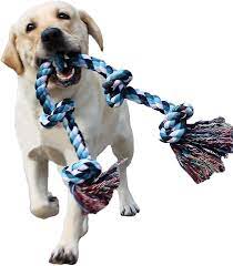 Discover the Benefits of Investing in Strong Dog Toys for Your Canine Companion