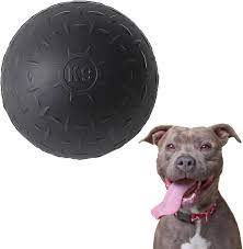 Durable and Resilient: The Best Tough Dog Toys for Active Pups