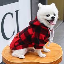 Dress to Impress: The Latest Trends in Pet Apparel