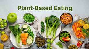 Exploring the Benefits of a Plant-Based Diet for Health and Sustainability