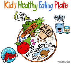 Unlocking the Secrets of a Nutritious Healthy Eating Plate