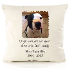 Capturing Canine Charm: Personalised Dog Photo Cushion Delights