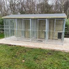 Choosing the Perfect Kennel for Your Canine Companion