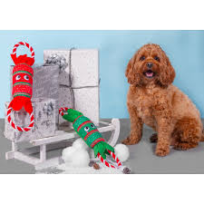 christmas dog toys