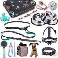 puppy accessories