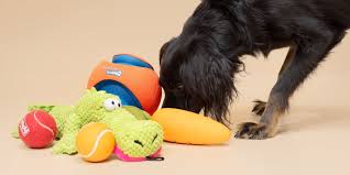 best puppy toys