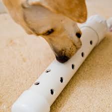 Enhancing Your Dog’s Well-being with Enrichment Toys