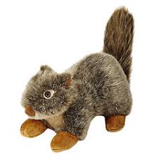 squirrel dog toy