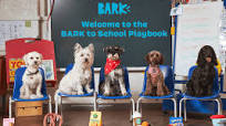 Enhance Your Dog’s Playtime with Bark Dog Toys: A Tail-Wagging Experience!