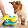 Discover the Best Cool Dog Toys for Your Pooch’s Playtime Pleasure