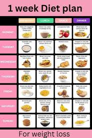 daily diet plan for weight loss