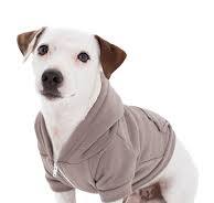 Stylish Comfort: American Apparel Dog Hoodie for Your Canine Companion