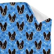 Embracing Warmth and Joy: The Dog’s Face on a Blanket