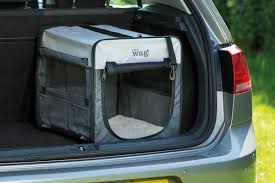 Essential Dog Travel Gear for Safe and Comfortable Journeys