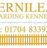 Enhancing Canine Comfort: The Role of Kennels in Providing Security and Serenity