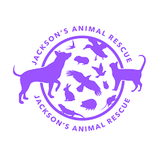 animal rescue