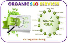 Unlocking Success: The Role of an Organic SEO Consultant in Elevating Your Online Presence