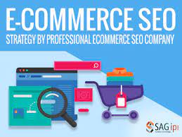Maximise Online Visibility with a Professional Ecommerce SEO Company